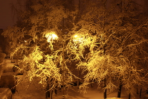 Image-preview_300x200