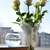 Image-square_50