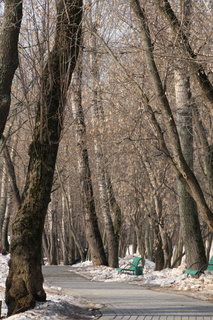 Image-preview_300x200