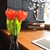 Image-square_50