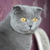 Image-square_50