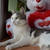 Image-square_50