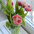 Image-square_50
