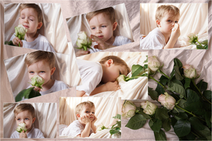 Image-preview_300x200