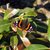 Image-square_50