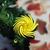 Image-square_50