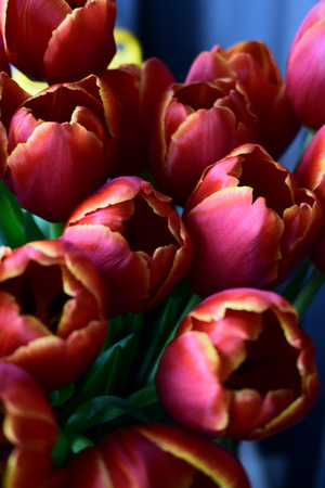 Image-preview_300x200