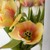 Image-square_50