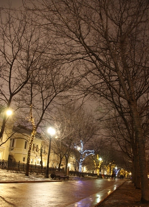 Image-preview_300x200
