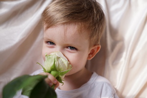 Image-preview_300x200