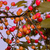 Image-square_50
