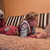 Image-square_50
