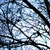 Image-square_50