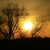 Image-square_50