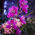 Image-square_50