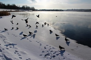 Image-preview_300x200