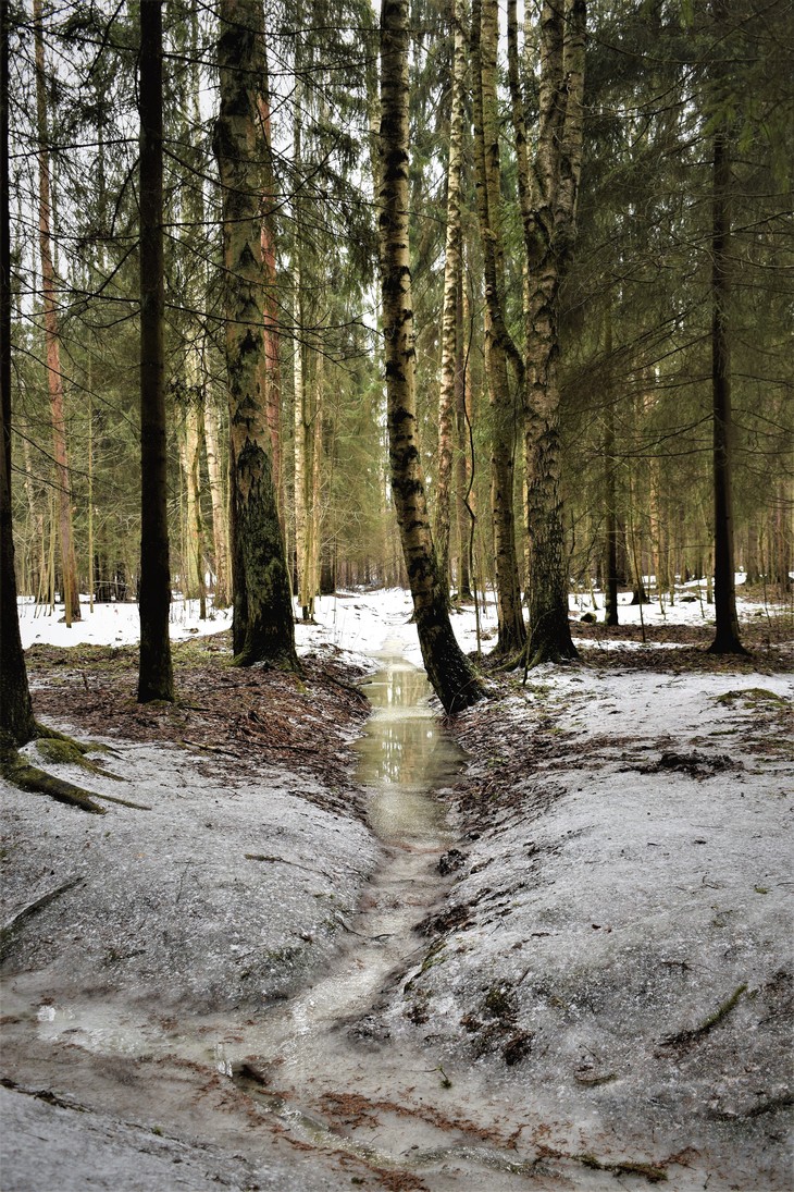 Image-normal