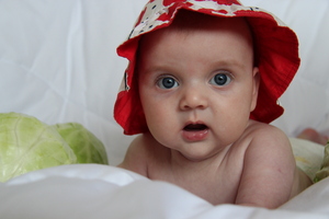 Image-preview_300x200