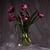 Image-square_50