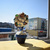 Image-square_50