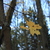 Image-square_50