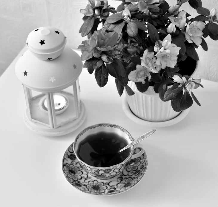 Image-normal