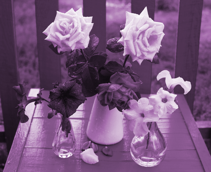 Image-normal