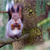 Image-square_50