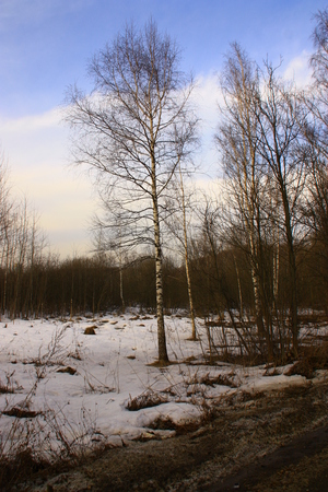 Image-preview_300x200