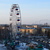 Image-square_50