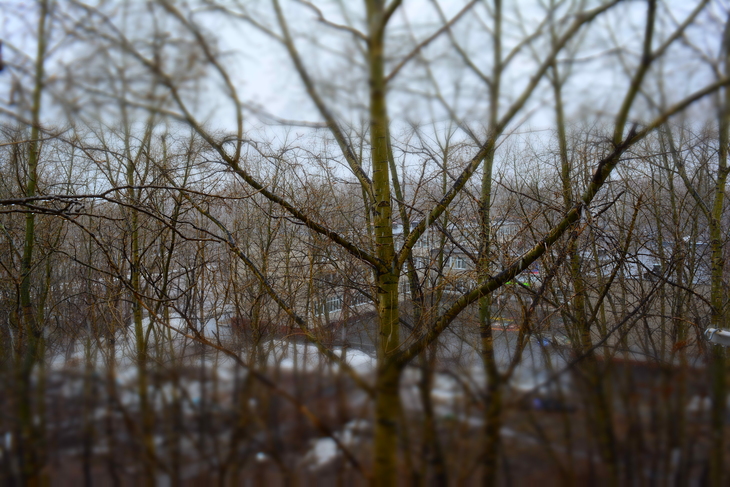 Image-normal