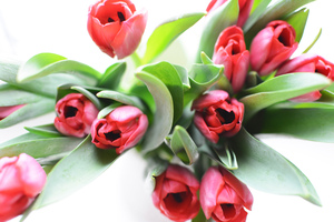 Image-preview_300x200