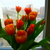 Image-square_50