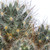 Image-square_50