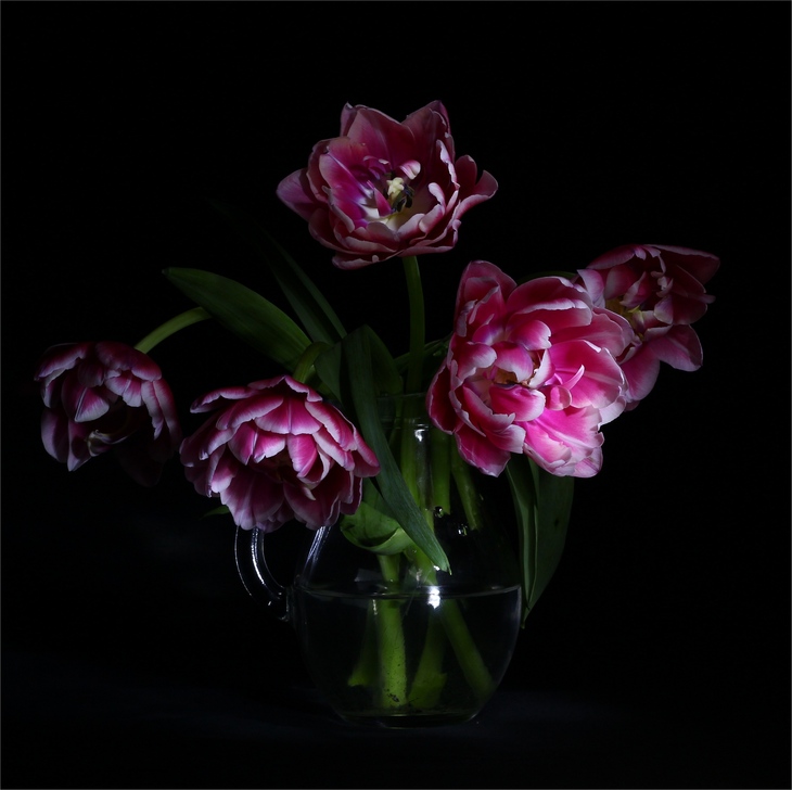 Image-normal