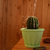 Image-square_50