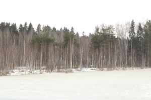 Image-preview_300x200