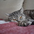 Image-square_50