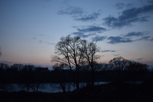 Image-preview_300x200