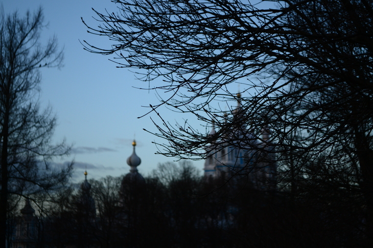 Image-normal