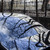 Image-square_50