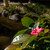 Image-square_50