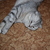 Image-square_50