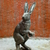 Image-square_50