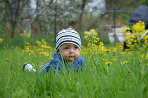 Image-preview_300x200