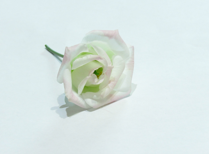Image-normal