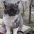 Image-square_50
