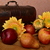 Image-square_50