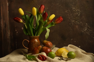 Image-preview_300x200