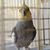 Image-square_50